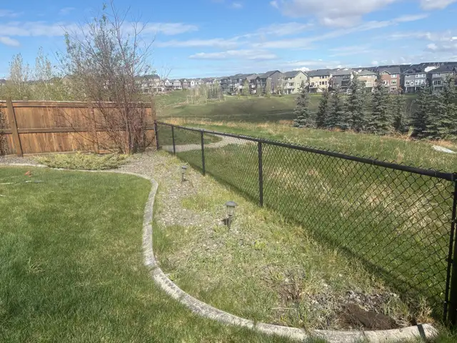 Spring CLEAN UP and lawn care in Lawn, Tree Maintenance & Eavestrough in Calgary - Image 9