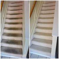 Best And Professional Carpet Cleaner