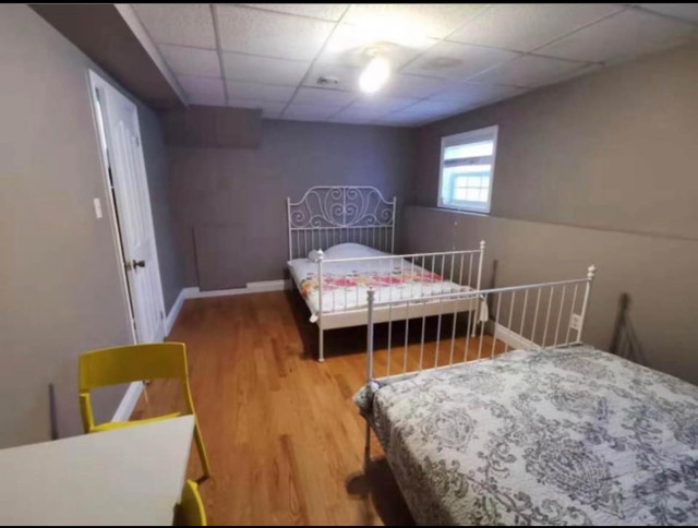 Sharing 1 bedroom  in Long Term Rentals in Dartmouth