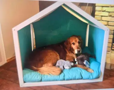 PRICE LOWERED from $300 to $250 WLO Wood Dog Bed. Originally paid $700. Dog not included