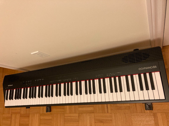 ROLAND GO 88 key Digital Piano (Used/Second-hand) | Pianos & Keyboards ...