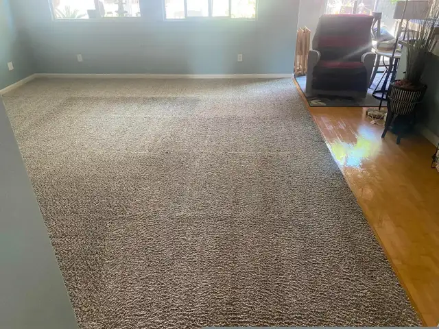Carpet And Sofa Cleaning In Affordable Price in Rugs, Carpets & Runners in Oshawa / Durham Region - Image 5