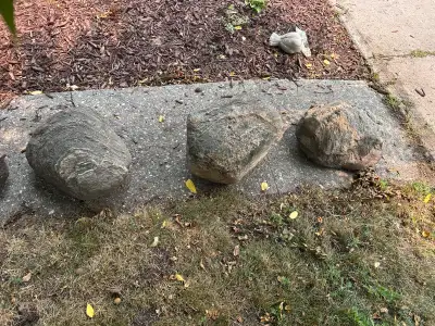large rocks for landscaping, View more