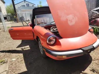 Selling one of my toys 1984 Alfa Romeo Spider It is running car bat need a lot of work the interior...