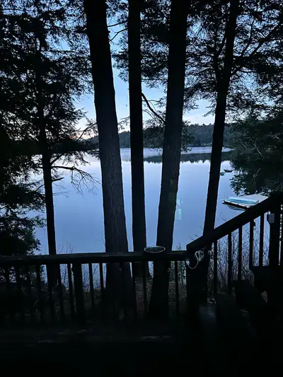 House/cottage/camp on Maple Lake Road in Massey ON for sale. 3 bedroom, 1 bath. Very private, large...
