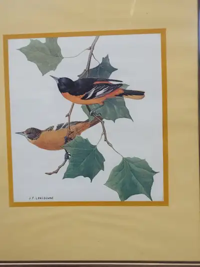 J F Lansdowne litho print 2 birds, View more
