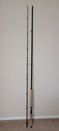 Fenwick HMXM 1264 fishing rod