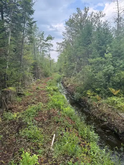 Description Terre à Bois à vendre LOT # 5773847 et #5773863 82 acres total (58 acres boisés + 24 acr...