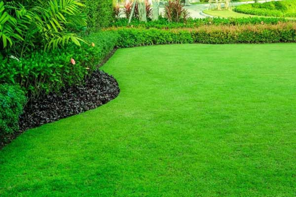 GRASS CUTTING $50 in Cleaners & Cleaning in Oshawa / Durham Region
