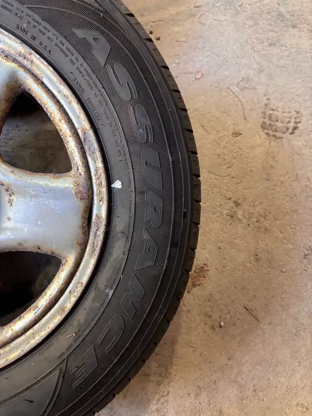 Goodyear assurance 215/70r16 all season in Tires & Rims in Trenton - Image 3