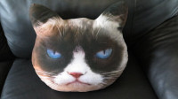 Coussin Grumpy Cat