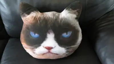 Maison non fumeur. BIEN LIRE Coussin 3D original de Grumpy Cat mesurant 17 X 17 pouces, comme neuf:...