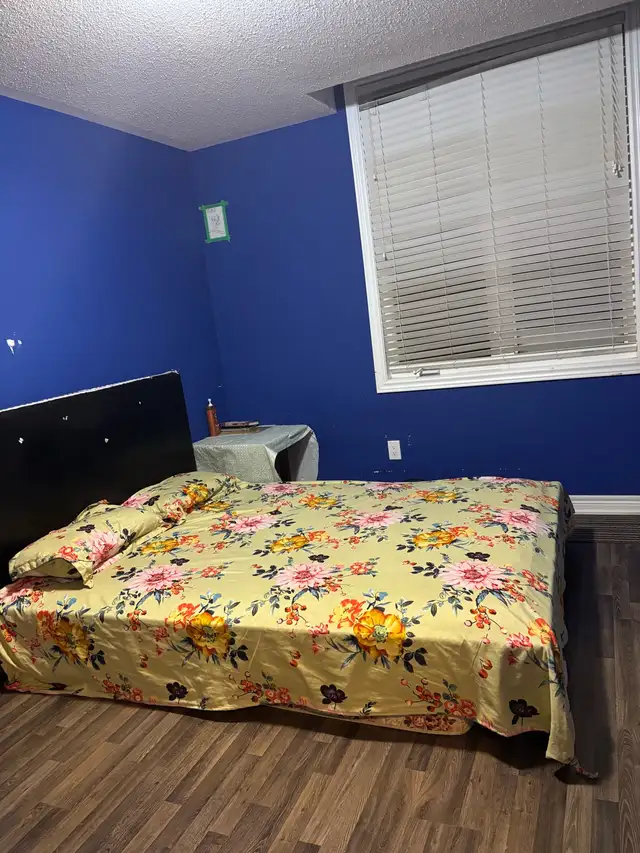 Room Available from 1st March