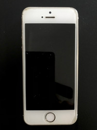Apple iPhone 5S 128GB White Unlocked