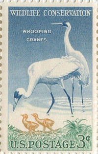Whooping Crane US 1950's 3 cent stamp - Block of 50 unused