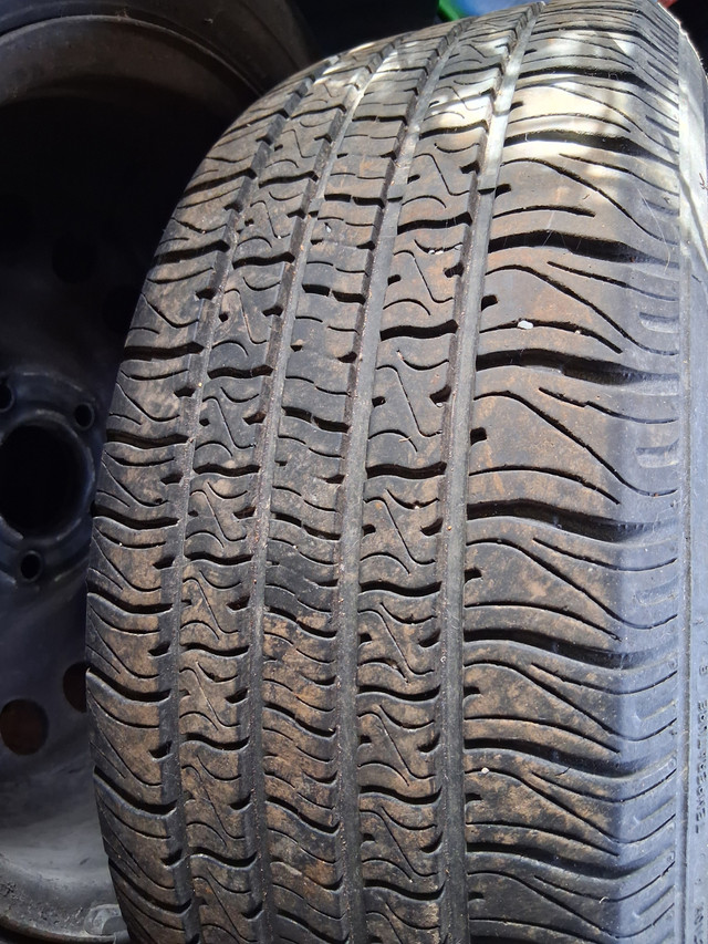 Used Winter Tires 215/60R16/95T in Tires & Rims in Owen Sound - Image 3