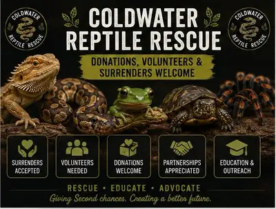 CRR — DONATIONS, VOLUNTEERS & SURRENDERS, View more