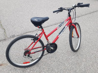 MOUNTAIN bicycle 24 inch