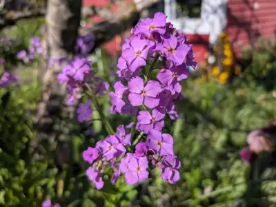 Cleaning and Home Care, View more