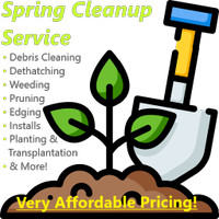 Spring Lawn & Garden Cleanup Service - Very Affordable