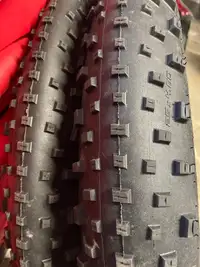 Fat bike tires / pneus 