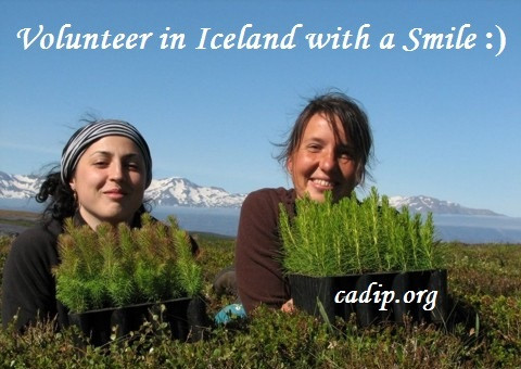 Organic gardening and forestry activities in Iceland in Volunteers in UBC