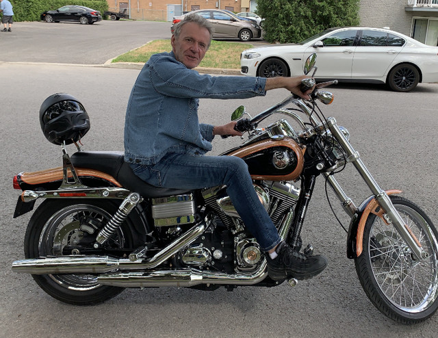 2008 Harley-Davidson Dyna Wide Glide 105 ième anniversaire dans Utilitaires et de promenade  à Ville de Montréal - Image 3