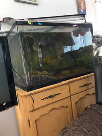 Large aquarium for sale 