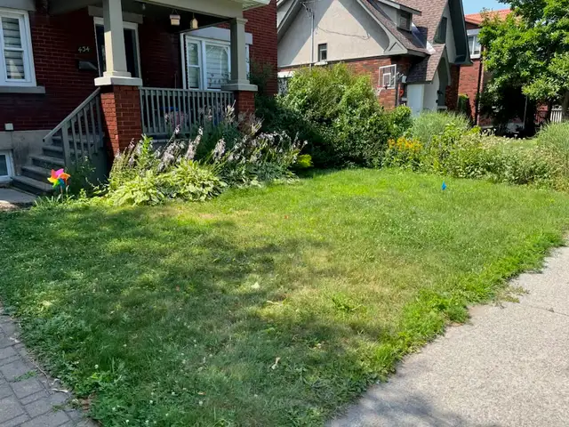 Fall Raking & Cleanup (Grade 11 Student)561546755446548483