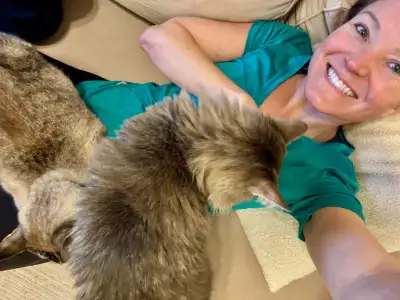 @@⭐️⭐️ Sue's home style pet boarding @@⭐️, View more