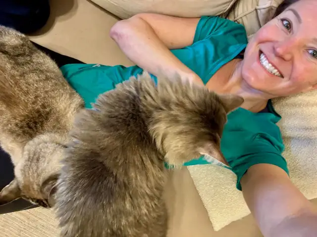 @@⭐️⭐️ Sue's home style pet boarding @@⭐️ in Animal & Pet Services in Brantford - Image 2