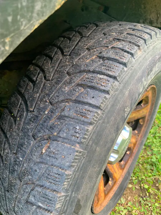 2010 ford ranger574686620823080963