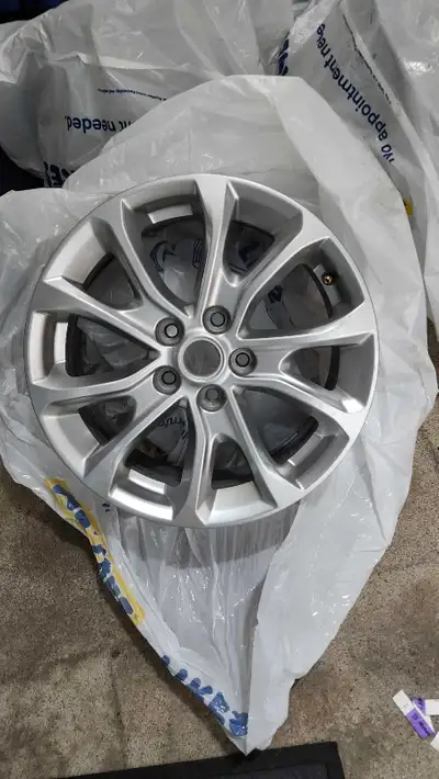 Set of 4 genuine GM 18-inch alloy rims in like-new condition. They only had winter tires mounted but...