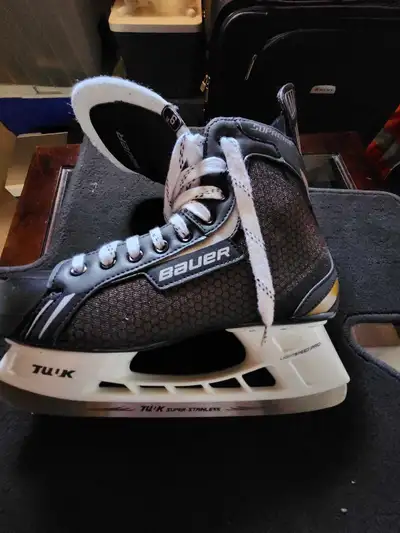 Hockey Skates/gloves , View more