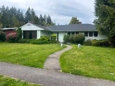Private room avail for rent - UBC/West Point Grey