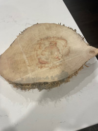 Wood slice