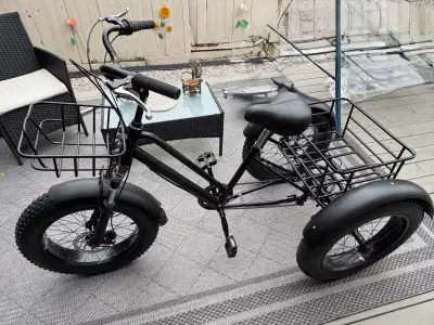 Adult 7-speed Trike 4” fat tire (used once), View more