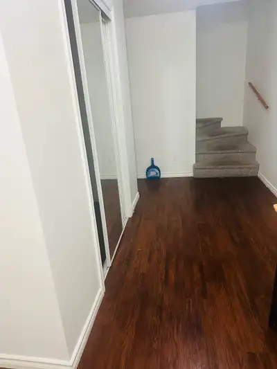 Basement for rent