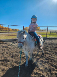 Western Riding Lessons - Minutes west of Airdrie 