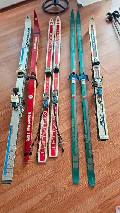 Hello, I am selling a stash of vintage European skis that I found while cleaning out the basement. I...