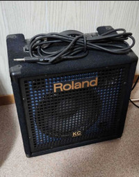 Roland Amplifier