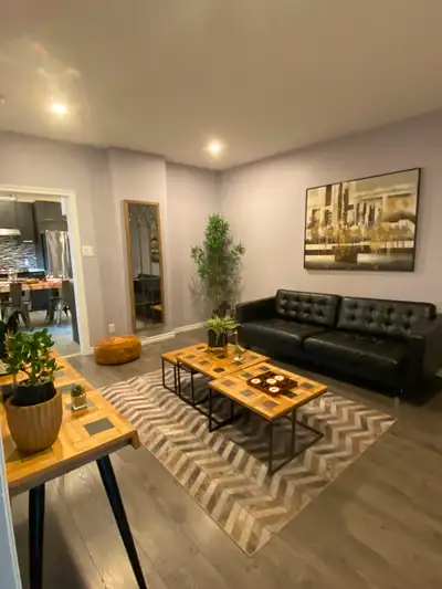 Grand 6 1/2 (4chambres) à Montréal (Sud-Ouest - Côte Saint-Paul)