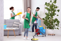 European cleaning