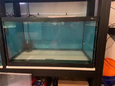 50 gallon breeder tank, View more
