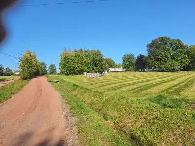 Cozy Country Bachelor Apartment for Rent