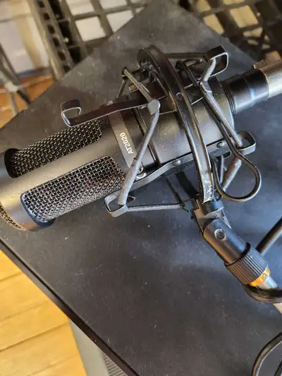 Audio-Technica AT2020, View more