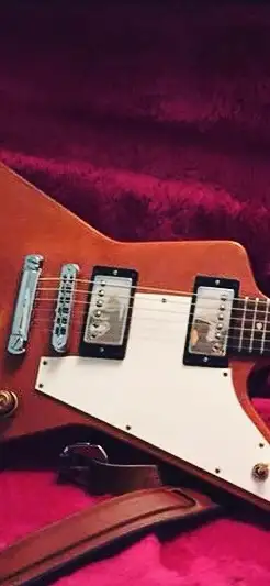 Gibson Humbuckers , View more