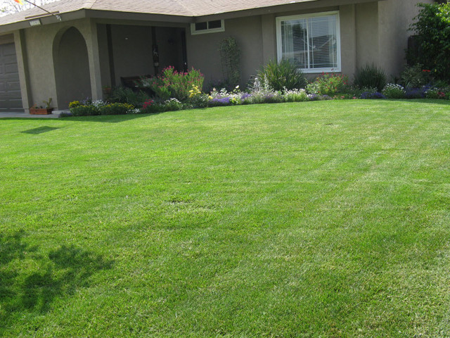 SPRING CLEANUPS / LAWN CARE / GARDENS / 343-364-4222 in Lawn, Tree Maintenance & Eavestrough in Kingston - Image 3