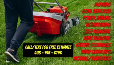 Young guy offering aeration, dethatching, mowing, junk removal., View more