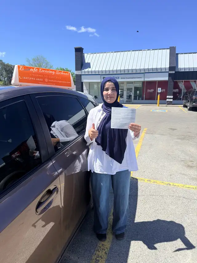 Driving Lessons 494506243523225602